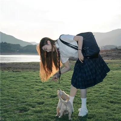 猫咪后院之家